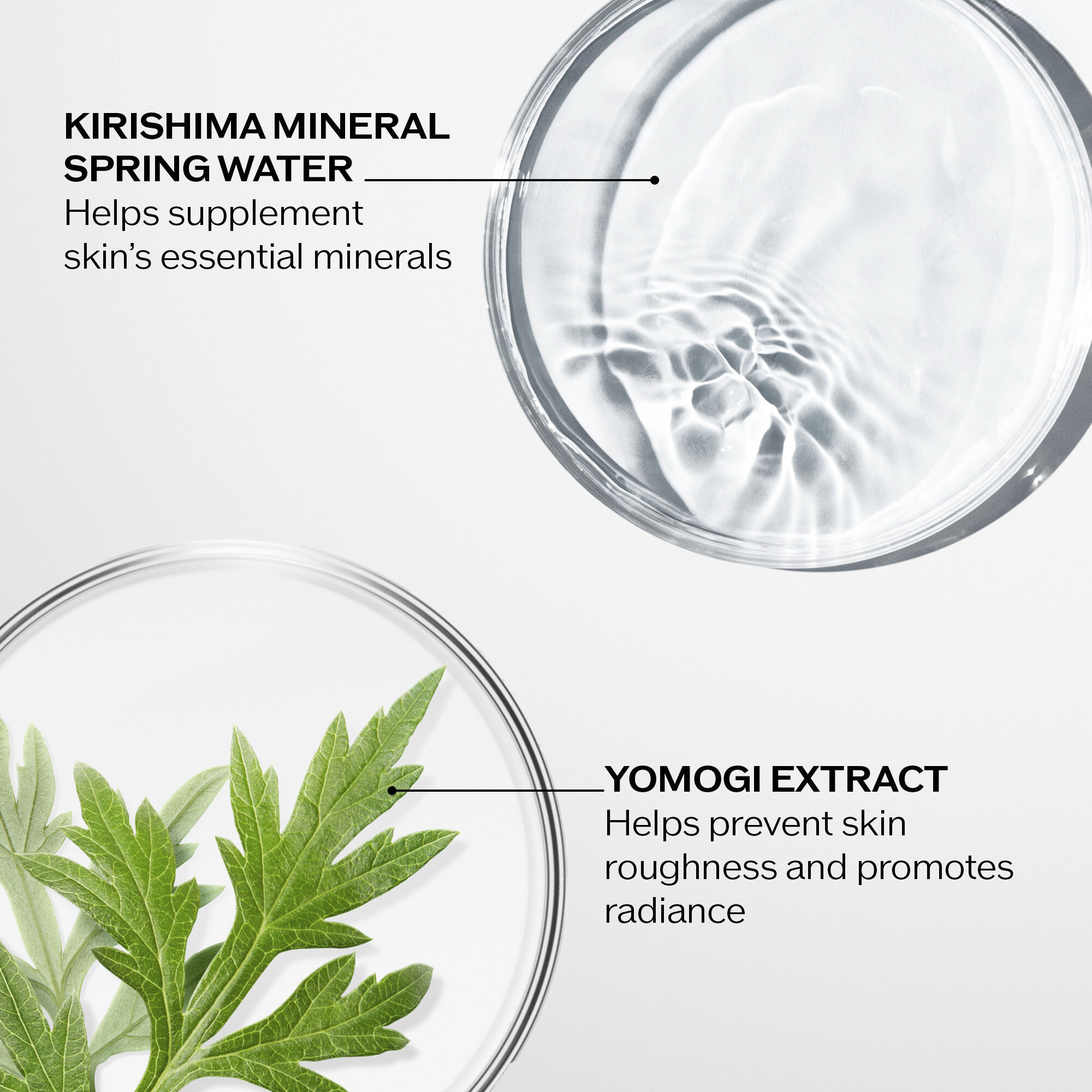 Treatment Softener (for normal and combination to oily skin), 