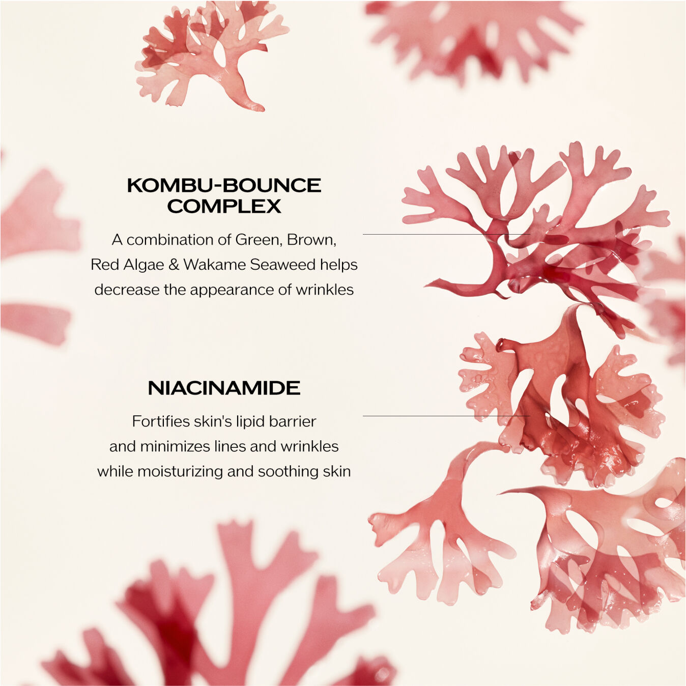 Benefiance Wrinkle Smoothing Cream Enriched - Youthful Hydration