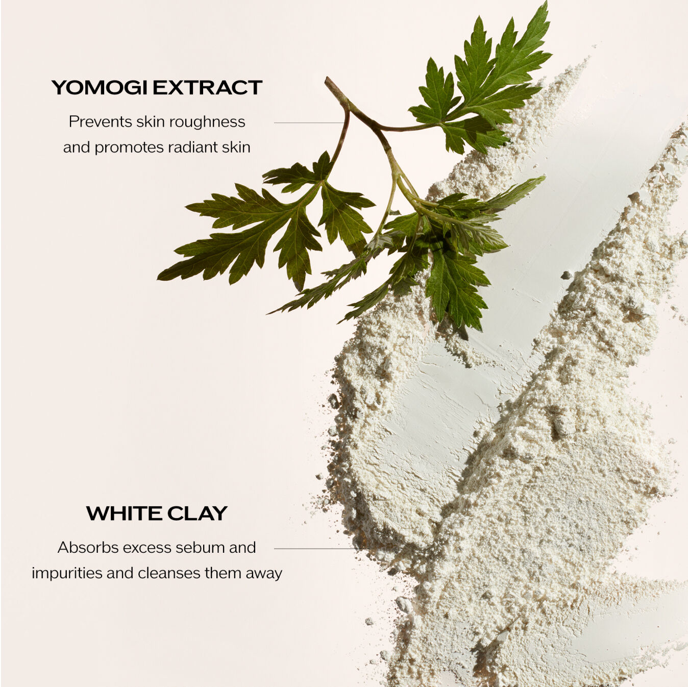 Mousse Nettoyante Clarifiante,