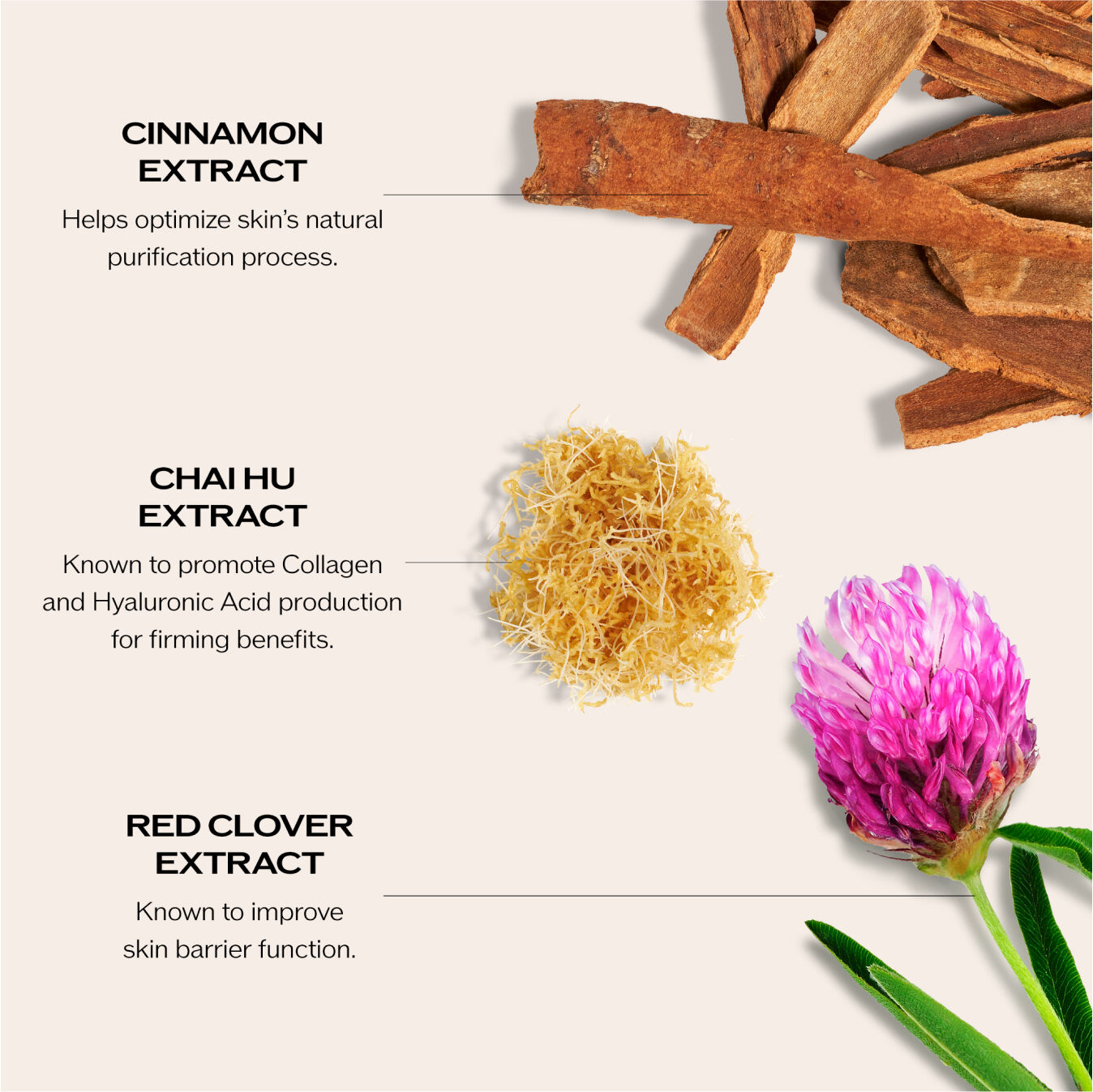 Skin Filler Serums, 