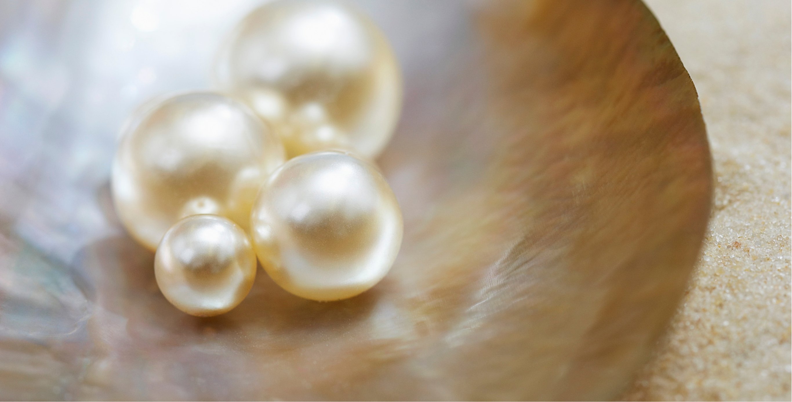 Ingredient: Pearl Light Powder
