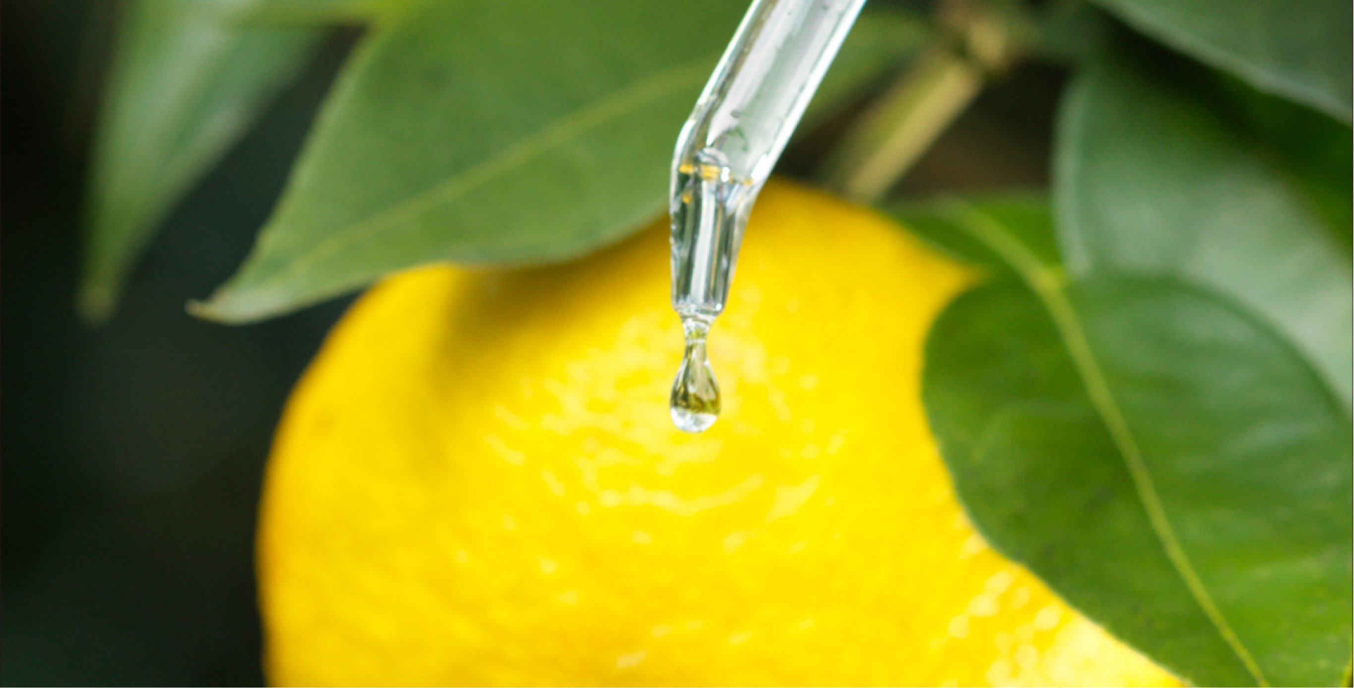Ingrédient : Mélange d'huiles super aliment (huile de pépins de raisin), Huile dr cynorhodon, Huile de tournesol)